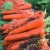Import 2020 China Manufacturer Shaanxi New Crop Sweet Juicy Fresh Red Carrot from China