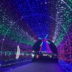 2020 holiday lighting tree decoration led outdoor christmas lights
