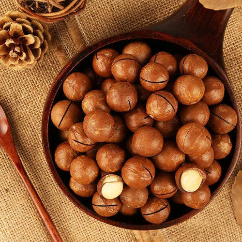 2020 New Crop wholesale Retail Big Size Macadamia Nut