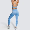 2020 New Private Label Custom Sports Bra Leggings Plus Size Pants Women Fitness Seamless Suit Fitness &amp; Yoga Wear Set