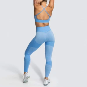 2020 New Private Label Custom Sports Bra Leggings Plus Size Pants Women Fitness Seamless Suit Fitness &amp; Yoga Wear Set