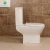 Import 2020 P-trap Drainage Pattern Siphonic Flushing Sanitary Ware Wall Hanging Toilet Seat from China