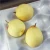 Import 2020 Pear healthy Fresh Pears Fruit Wholesale for sale from China
