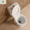 220mm S-trap Two-piece Dual FLush Toilet Siphon Flushing Sanitary Ware Best Toilet for Home with 2 Buttons