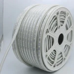 220V 110V RGB 5050 LED Strips with Remote Controller, Color Changing Tape Light . Color Changing LED Strip Lights.