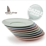 4 pcs Wheat Straw Healthy Eco Friendly Biodegradable Dinner Plates Dinnerware Cutlery Set