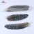 Import 5-10cm Multiple Colors Jewelry Crafts Plumes Pheasant Guinea Fowl Feather Fly Tying Materials Fishing Feathers for Crafts from China