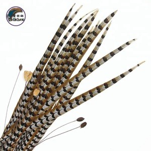 64 Inch(160 cm)Chinese Top Manufacturer Cheap Large Natural Reeves Pheasant Tail Feathers for Head Decorations