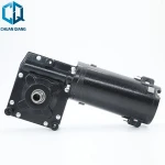 73ZY12-102WJ 12V 24V 180W-320W Permanent Magnet worm gear Electric Golf Buggies Trolley DC Motor