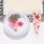 Import 8 Designs 3D Dried Flowers for Nail Art Mini Real Natural Flowers Nail Art Supplies from China