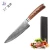 Import 8inch 20cm chef 67 Layers professional Japanese imported AUS-10 Damascus steel handle high quality kitchen knife from China