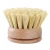 Import All Natural Fibre Wooden Vegetable Dish Bottle Pot Brush Sisal Cleaning Brush from China