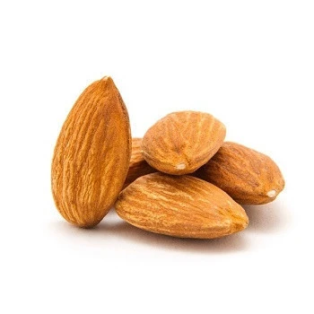 Almond Kernel/ Sweet Almond