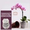 Amazon hot style products 2020 most hot selling flower seed pot home flower vase in garden plastic plant pots