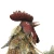 Import Animal figurine rooster statue design realistic animal metal crafts for garden and home decoration from China