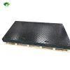 Anti Static Board Track Road Floor Temporary Ground Mat HDPE Road Mats