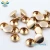 Import antique brass cone double head screws dome studs buttons and rivets for bag studs bottom from China
