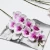 Import Artificial Phalaenopsis Flowers Branches Real Touch Orchids Flowers for Home Office Wedding Decoration from China