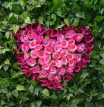 Artificial plant crafts for wall decoration