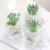 Import Artificial plant mini potted ornaments Creative stone glass bottle green plant desktop decorative potted plants from China