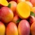 Import Australian Fresh Mango R2E2 for sale from Philippines