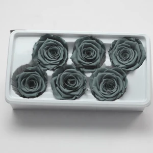 Beautiful Stabilized Eternal Forever Preserved Roses Flower