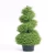 Import Beautify Environment Indoor Decoration Simulated Plant from China