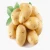 Import Best Quality Fresh  Potato with High Protein from India