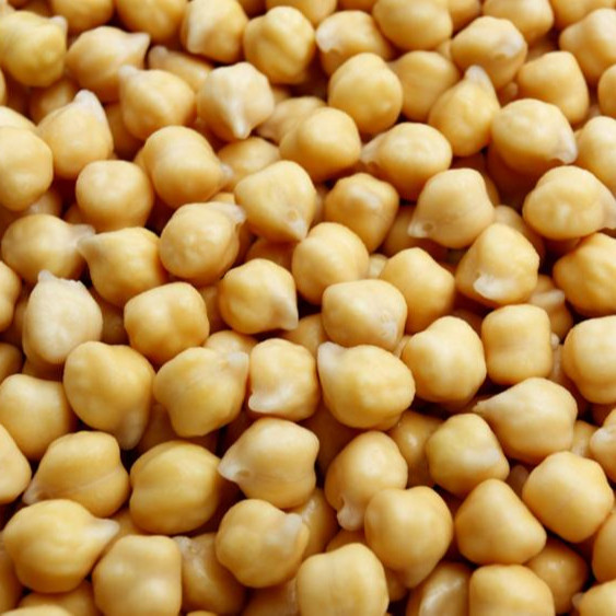 Best Selling High Quality Indian Chickpeas
