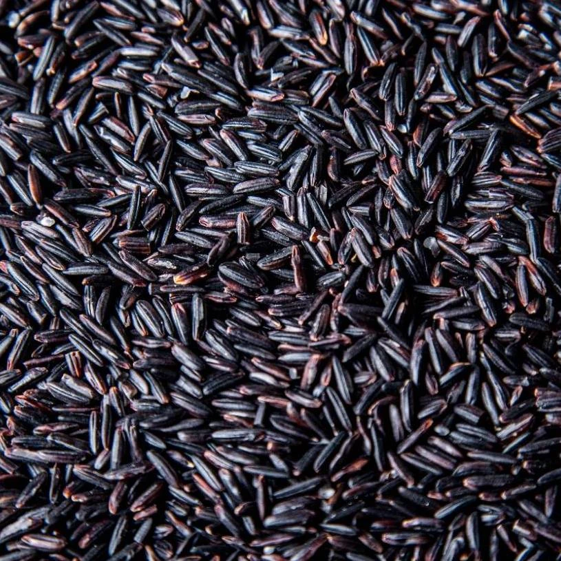 Black rice good for pilaf, risotto and salad long-grain wholesale manufacturer, premium quality, best price