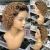 Import Black to Honey Blonde 2T Ombre Short Curly Brazilian Cuticle Aligned Raw Hair Pixie Cut Lace Front Wigs for Black Women from China