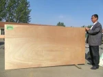 BLOCK BOARD