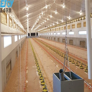 Broiler Poultry Farming House Equipment