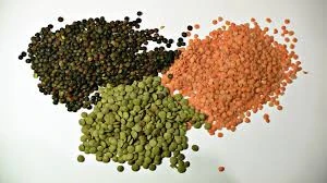 Bulk Green And Red Quality Lentils
