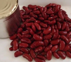 canned kidney beans for sale