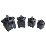 CE 20cc 32cc 50cc 60cc 80cc 100cc 125cc Internal Gear Pumps Double Gear pump For Hydraulic System
