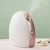 Import CE RoHS Certified Face Humidifier Professional Facial Steamer Nano Ionic for Skin Moisturizing skin beauty from China