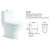 Import Ceeport SAMAF C-47 Sanitary ware Bathroom Fixture one piece toilet seat in one toilet from China