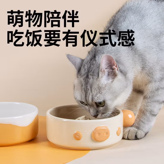 Ceramic Tall Leg Inclined Cat Bowl