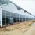 Import Cheap Hydroponic Agricultural Multi-span Glass Greenhouses from China