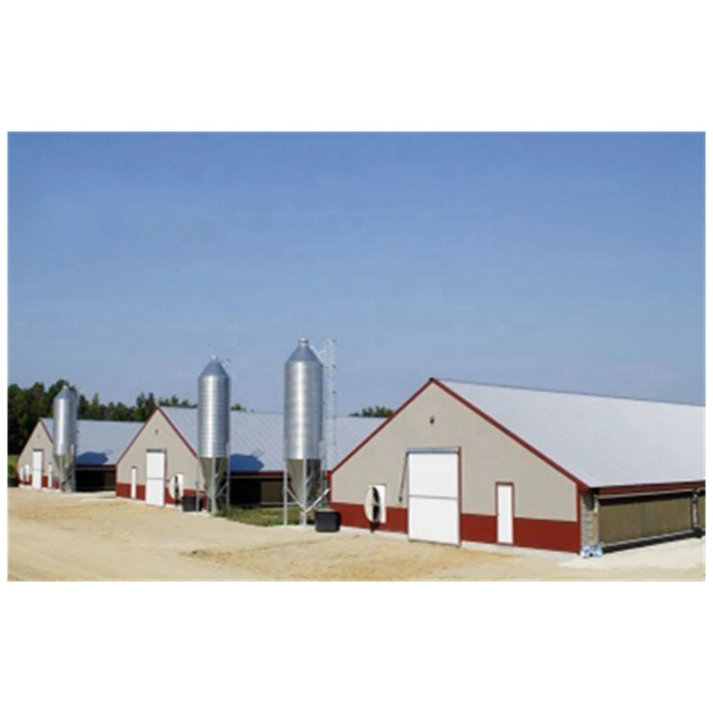 chicken steel structure house for Open poultry farm house and close poultry farm house