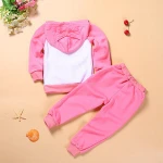 Children Clothing Sets Spring Autumn baby Boys Girls Clothing Sets Fashion Hoodie+pants 2 Pcs suits 1-6 years kids clothes