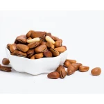 China factory direct sale100%Pure Natural Wild  Pine Nuts in Shell with cheap price