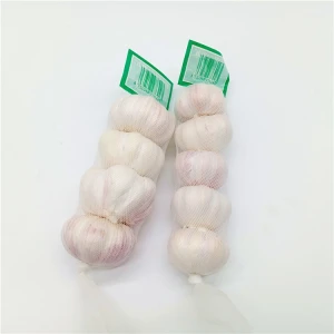 China fresh garlic supplier natural normal red garlic price with competitive price