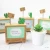 Import China High Quality Home Decoration Hot Selling Cactus DIY Crafts Bedroom Romantic Girlfriend Birthday Gift Wooden Music Box from China