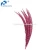 Import China Manufacturer Exporter High Prime Quality Lady Amherst Pheasant Tail Feathers from China