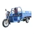 Import China Multi-Purpose Farm Use Load King Three-Wheeled Passenger Freight Transport Electric Tricycle from China