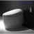 Import China supply sanitary ware products one piece bathroom intelligent toilet from China