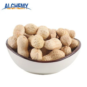 Chinese shandong bulk raw groundnut peanuts for sale in shell