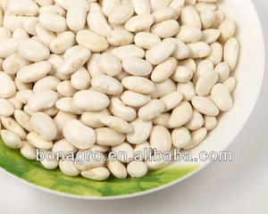 Chinese white kidney bean,lima bean